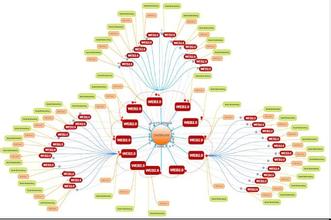 ���ܸ�Ӧ�����齫����Ƶ�����񲿣��ѻƽ���ȡ���ᱻȫ���ϰ�������...